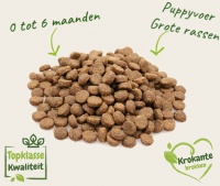 Beste puppy voer grote rassen