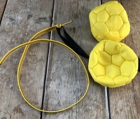 mini voetbal hond lijn