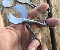 Navelstrengschaar