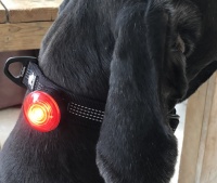 Honden halsbanden ledlamp