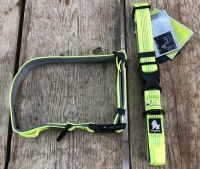waar honden halsband kopen