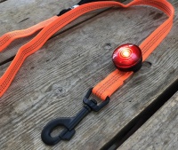 Honden uitlaatriem led