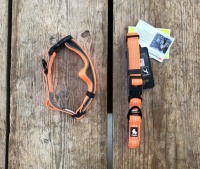 Halsbandje led reflecterend