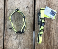 Halsband hond geel led reflecterend