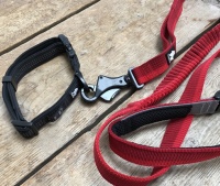 Elastische hondenlijn rood