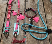 Roze halsband hond
