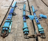 Blauwe halsband hond
