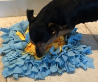 Snuffelmat hond XL