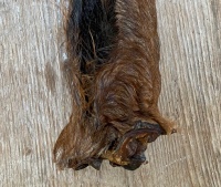Paardenoren met huid en haar