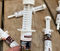 Vuurwerkangst hond medicatie