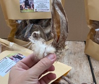 Konijnenoren met haar