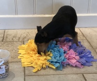 snuffelkleed hond groot