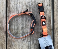 Welpen Halsband Orange 25 bis 35 cm