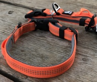 Welpen Halsband Orange reflektierend