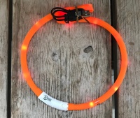 led halsband hond oplaadbaar oranje
