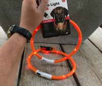 Led halsband hond oranje