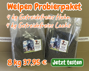 welpen probierpaket